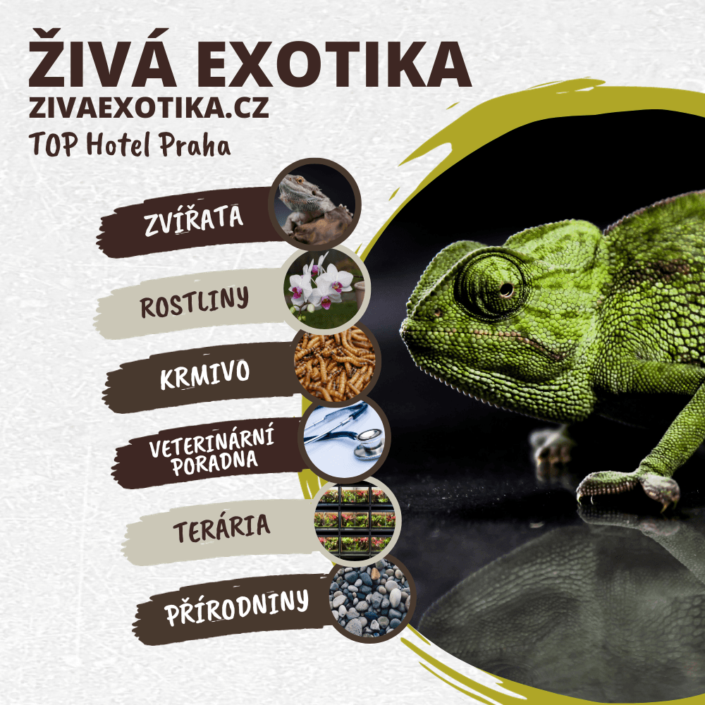 ŽIVÁ EXOTIKA 21.12.2024