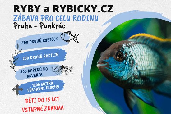 Ryby a rybičky 27.10.2024