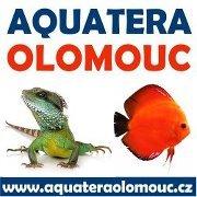 Aquatera Olomouc