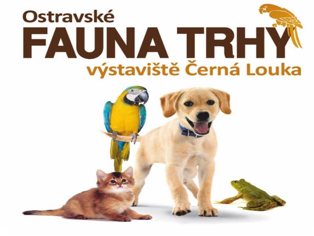 Ostravské Fauna trhy